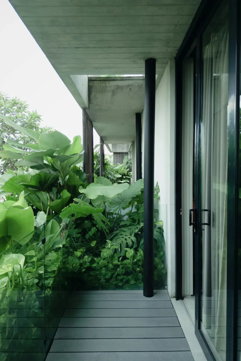 Concrete walkway with tropical garden